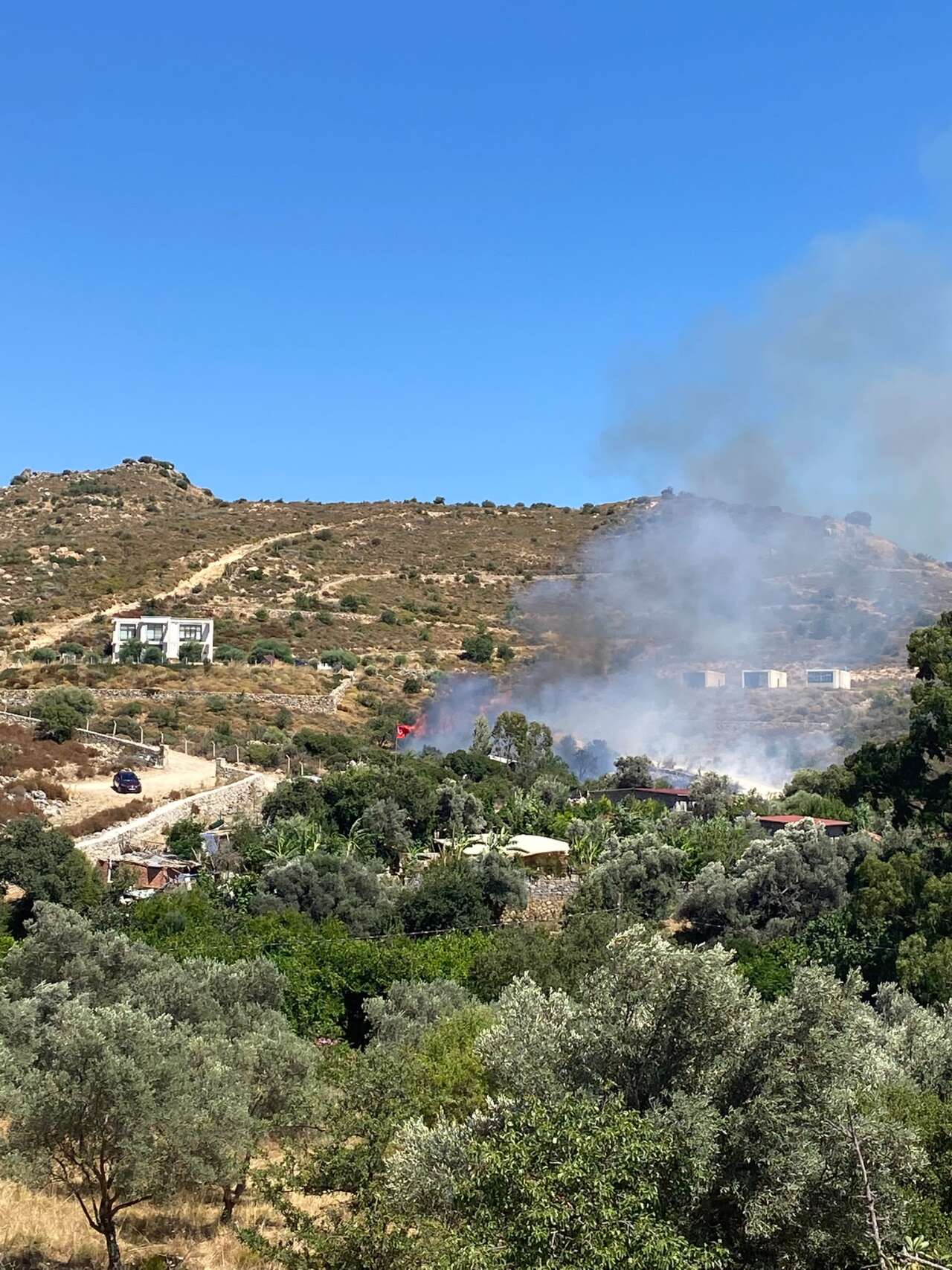 Bodrum'da Yangın Başladı 1